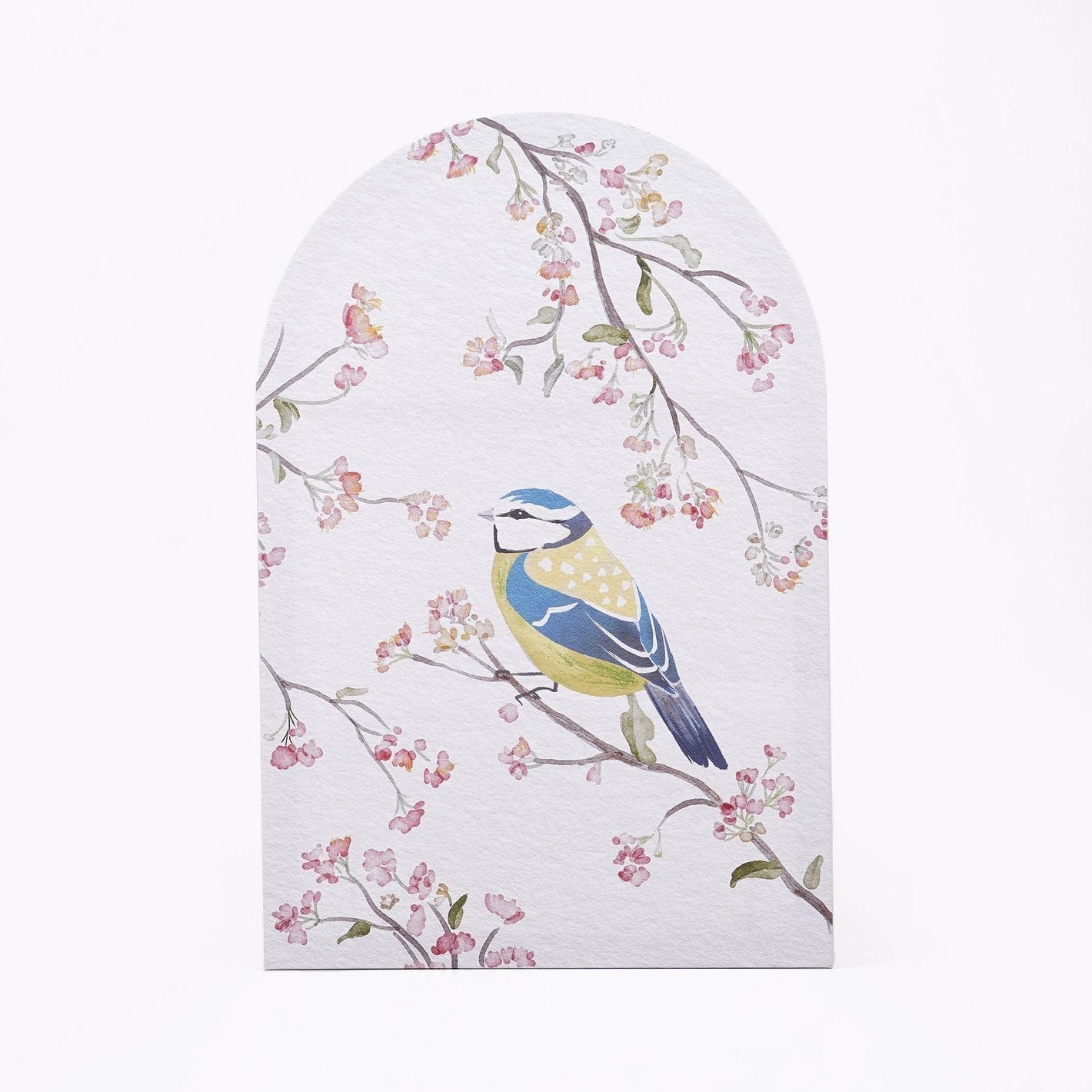 Birds On Canvas With Arched Frame - Set of 2