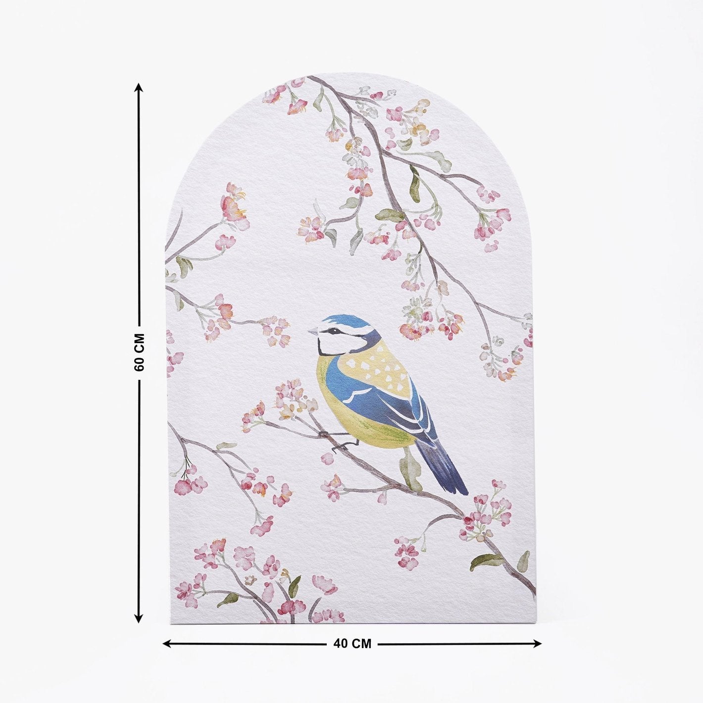 Birds On Canvas With Arched Frame - Set of 2